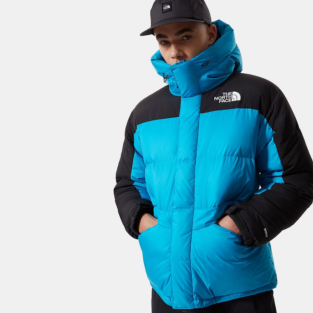 The North Face Puffer Jacket Mens Australia - The North Face Himalayan Blue (RJB-718526)